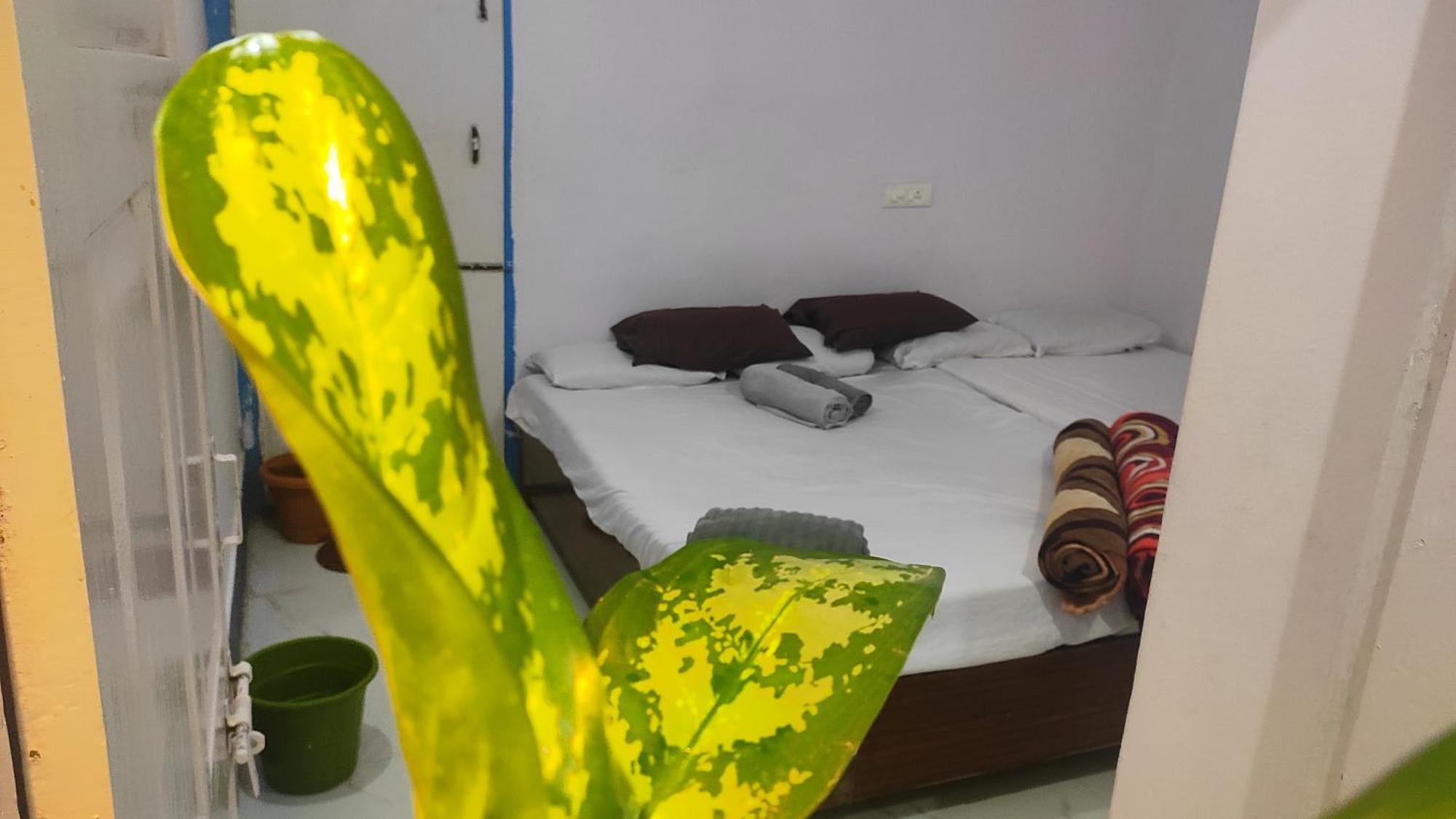 Adh Amilia Gardens Hotel Narasimharaja Puram Eksteriør billede