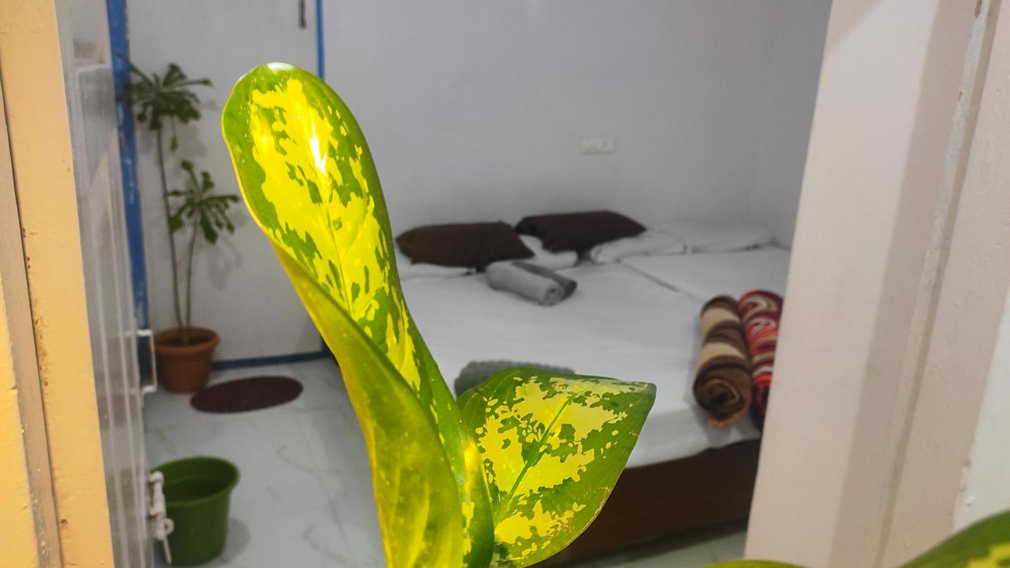 Adh Amilia Gardens Hotel Narasimharaja Puram Eksteriør billede